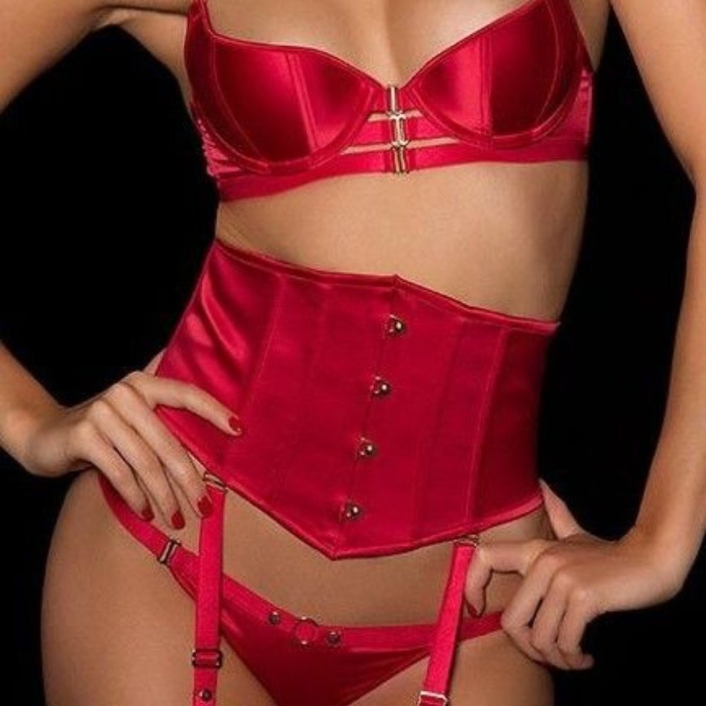 HONEY BIRDETTE ❤ RARE ❤ 2015 Coco red waspie corset - XS